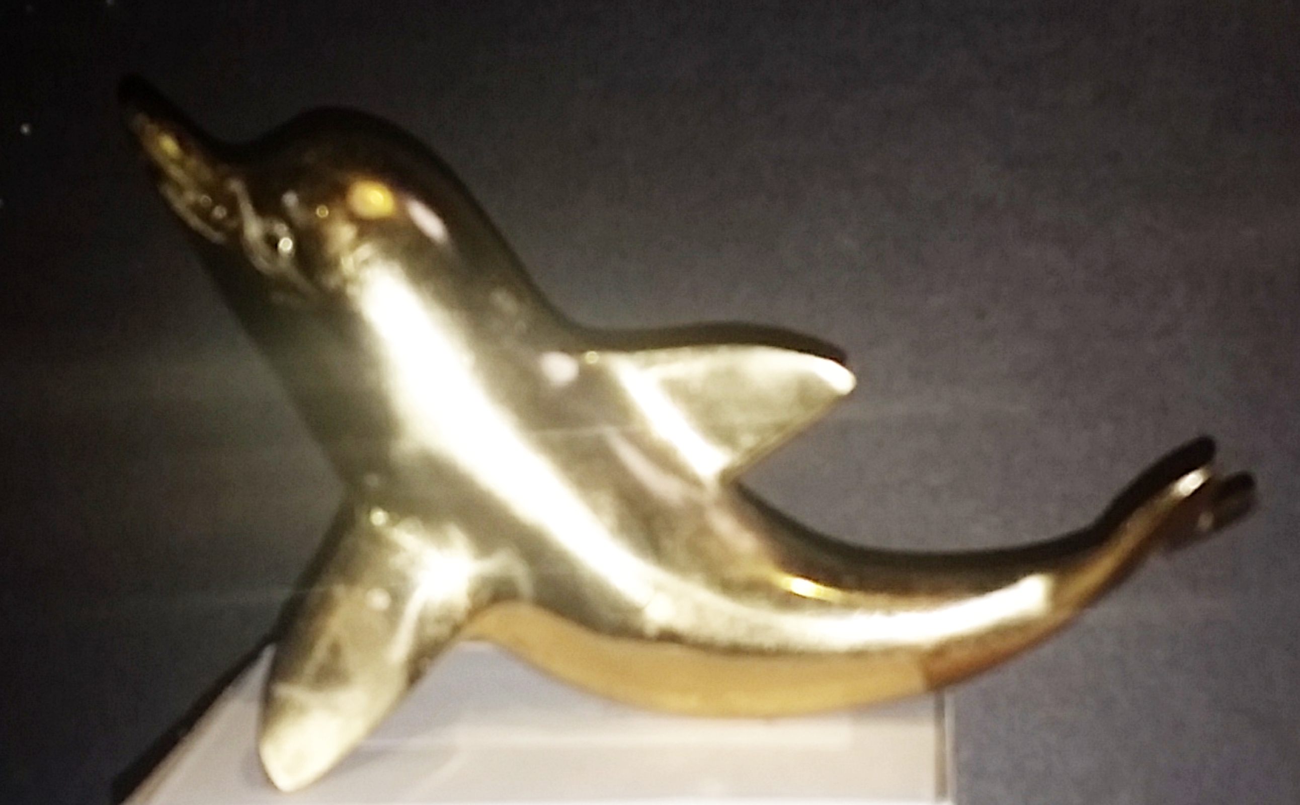 Dolphin Tiller Pin